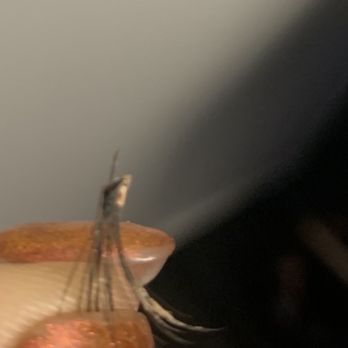 Amazing Lash Studio - West Village - Eyelash Service Near Me - Dallas, Texas Amazing Lash Studio - West Village - Eyelash Service Near Me - Dallas, Texas