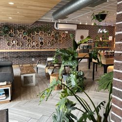 The CBD Apothecary