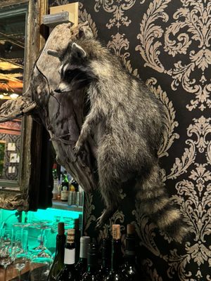 Feral Kitchen & Lounge by null