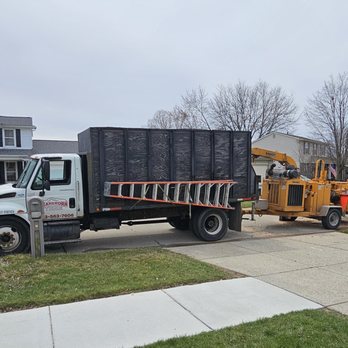 Dearborn Tree Service - Tree Services Near Me - Westland, Michigan