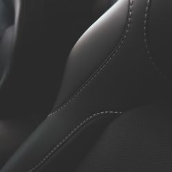 Winner Transportation - luxury and clean interior