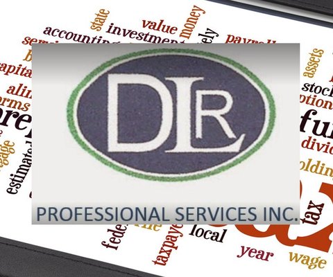 DLR Professional Services