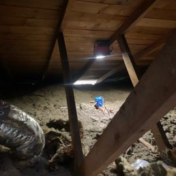 Had some exposed wires in our attic area.
