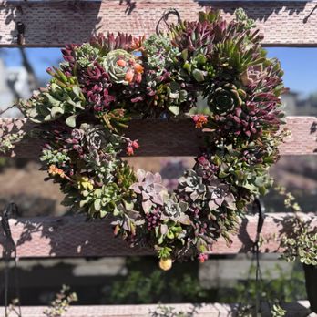 Waterwise Botanicals - Nurseries & Gardening Near Me - Bonsall, California