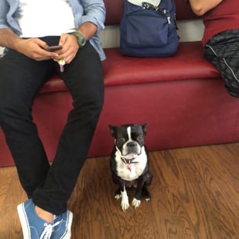 Active Barbers - Even the local dogs know what's up with this place. - Barbers Near Me - Santa Monica, California Active Barbers - Even the local dogs know what's up with this place. - Barbers Near Me - Santa Monica, California