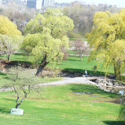 Arboretum At the Central Experimental Farm