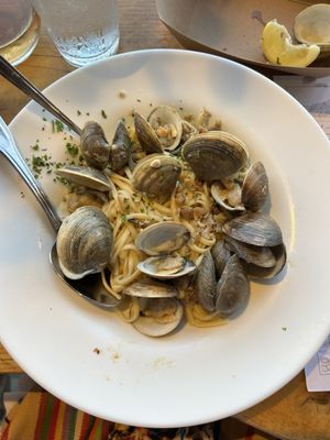 Ship Bottom Shellfish by null