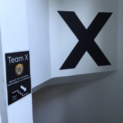 Team X