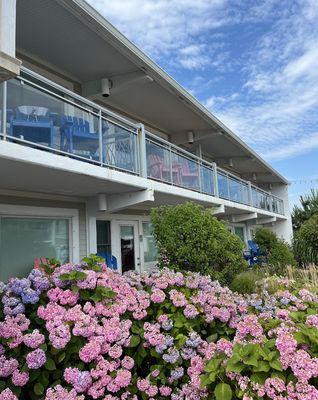 Sea Crest Beach Resort by null