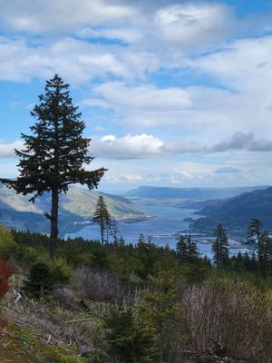 South Hill Winery by null