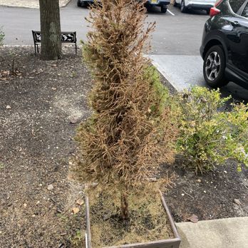 Anchor Pest Control - Pest Control Near Me - East Brunswick, New Jersey