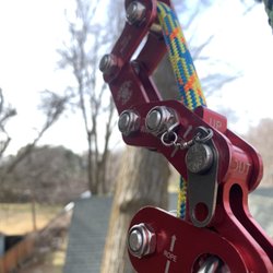 Eagle Peak Tree Care - Rope running and pruning oaks.