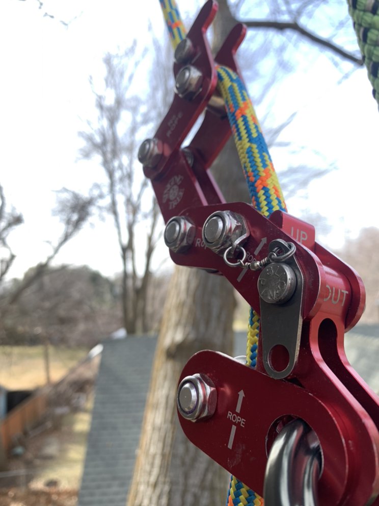 Eagle Peak Tree Care - tree service in Star, ID