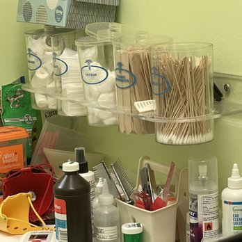 The Cat Practice - Exam room. - Veterinarians Near Me - Oak Park, Illinois
