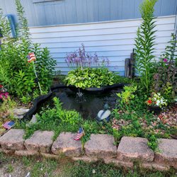 Small pond area in front