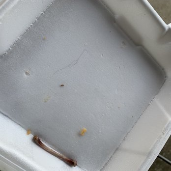 New York Fish Chicken Gyro - Hair in the takeout container, gross! - American Near Me - Belleville, Illinois New York Fish Chicken Gyro - Hair in the takeout container, gross! - American Near Me - Belleville, Illinois