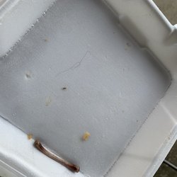 New York Fish Chicken Gyro - Hair in the takeout container, gross!