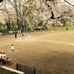 北上市立公園展勝地 Photos Parks 立花 北上市 岩手県 Japan Phone Number Yelp