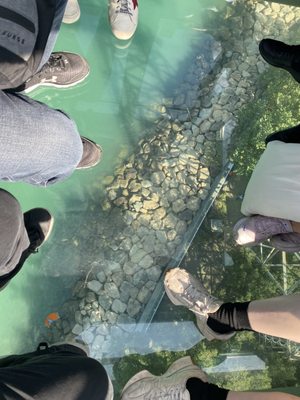 Ngong Ping 360 by null