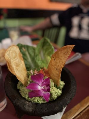 Los Tios Grill by null
