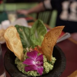 Los Tios Grill - Fresh Guacamole Molcajete