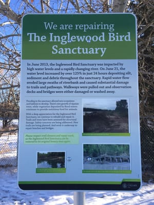 Inglewood Bird Sanctuary by null