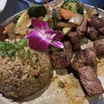 Bocados Sushi Bar - Hibachi plate - delicious - Sushi Bars Near Me - Bakersfield, California Bocados Sushi Bar - Hibachi plate - delicious - Sushi Bars Near Me - Bakersfield, California