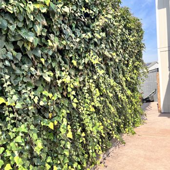 Padilla's Premier Lawn Care - Lawn Services Near Me Padilla's Premier Lawn Care - Lawn Services Near Me