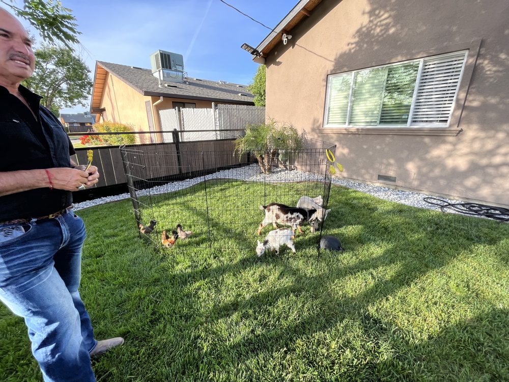 CHAVEZ MINIATURE PETTING ZOO Updated September 2024 19 Photos