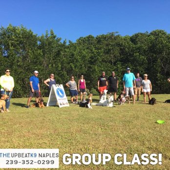 The Upbeat K9 - Pet Training Near Me