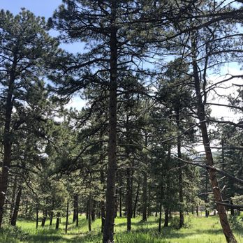 Genesee Park - Parks Near Me - Golden, Colorado