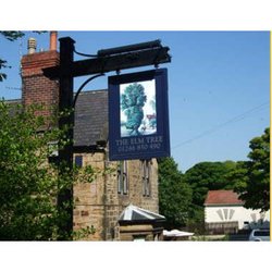 The Elm Tree