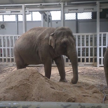 Dublin Zoo - Zoos Near Me - Dublin, D Dublin Zoo - Zoos Near Me - Dublin, D
