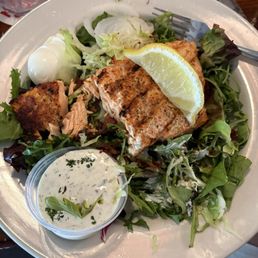 Salmon Salad Salmon Salad