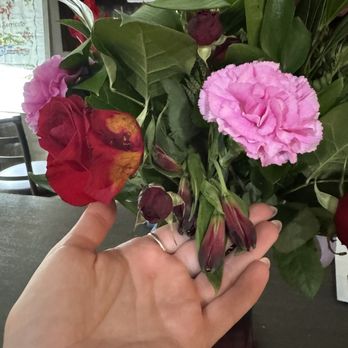 Oopsie Daisy Florist - Florists Near Me - Raeford, North Carolina Oopsie Daisy Florist - Florists Near Me - Raeford, North Carolina