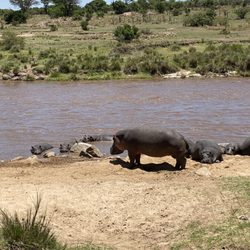 Aweigh-To-Go-Travel - African Safari