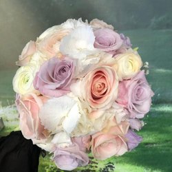 Blumen Dornröschen