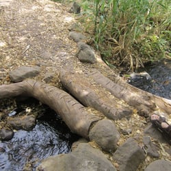 Barranco de los Cernicalos