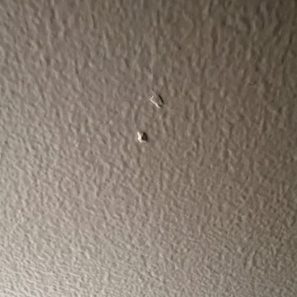 Sound Painting Solutions - Crud painted on walls. Lots of it., - Painters Near Me - Seattle, Washington Sound Painting Solutions - Crud painted on walls. Lots of it., - Painters Near Me - Seattle, Washington