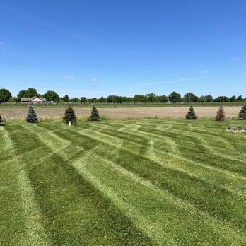 Dombrowski Lawn Care - Lawn Services Near Me Dombrowski Lawn Care - Lawn Services Near Me