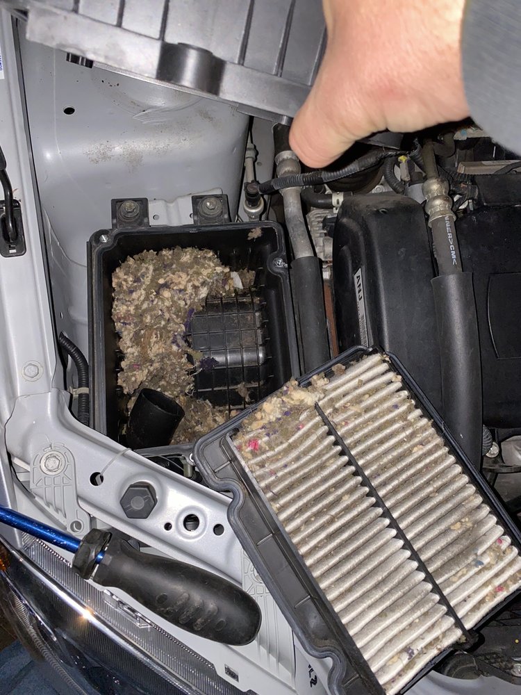 KOCH 33 TOYOTA 33 Photos & 61 Reviews 3816 Hecktown Rd, Easton, Pennsylvania Car Dealers