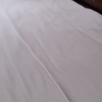 Rustic Inn Creekside Resort & Spa - Jackson Hole - Lumpy mattress - Hotels Near Me - Jackson, Wyoming