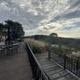 Chateau Morrisette Winery
