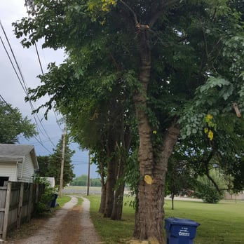 A & B Tree Service - Cleared alleyway! - Tree Services Near Me - West Terre Haute, Indiana