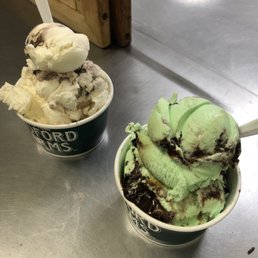 Moose Tracks