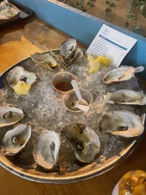 The Shuck Shack by null