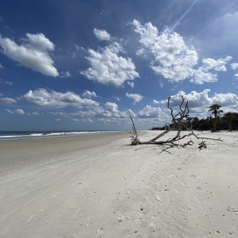 Little Talbot Island State Park - Beaches Near Me - Jacksonville, Florida Little Talbot Island State Park - Beaches Near Me - Jacksonville, Florida
