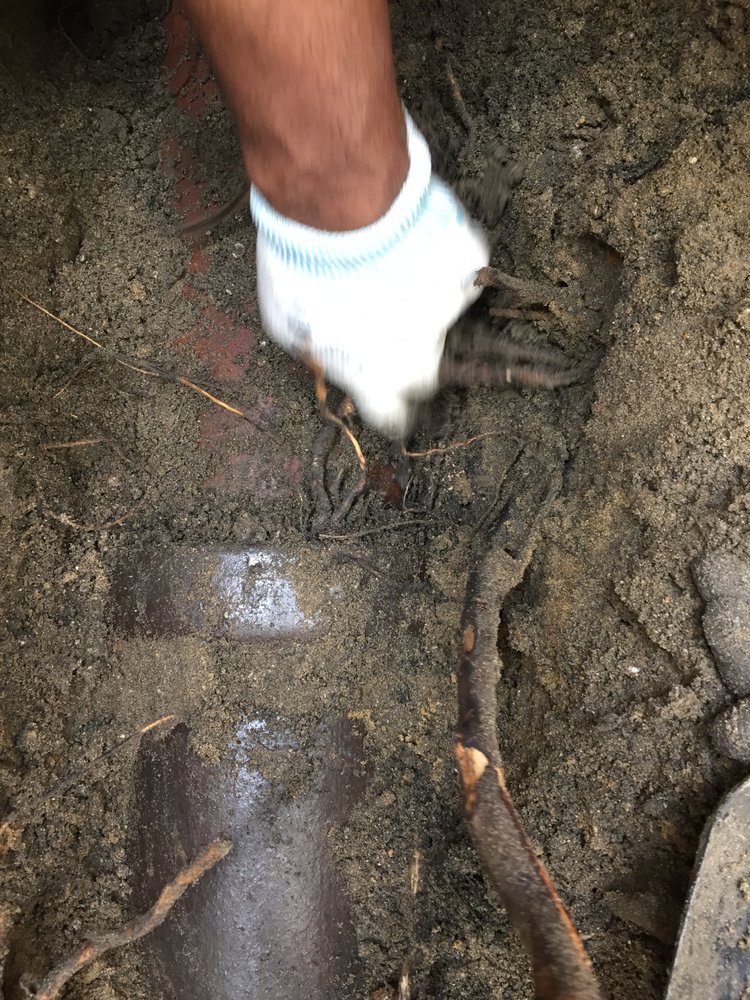 Slide of Done Right Sewer and Drain