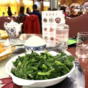 Congee Village - Greens Abound: (Tasty Snow Pea Shoots) - Cantonese Near Me - Flushing, New York