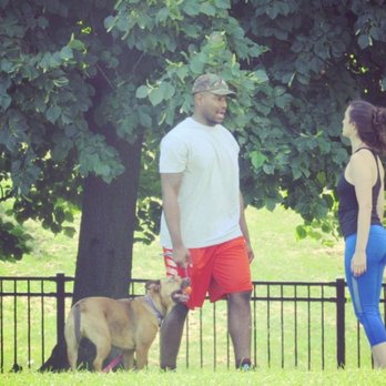 Every Single Day - Pet Training Near Me